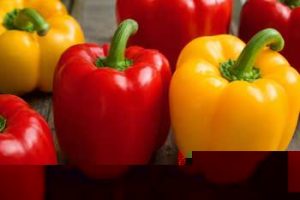 peperoni-ortofrutta peperoni-ortofrutta
